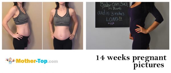 14 weeks pregnant pictures