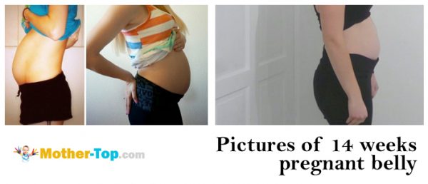 pictures of 14 weeks pregnant belly
