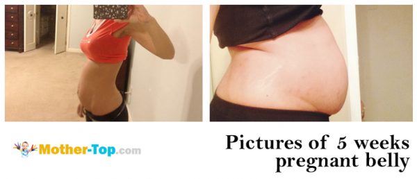 pictures of 5 weeks pregnant belly