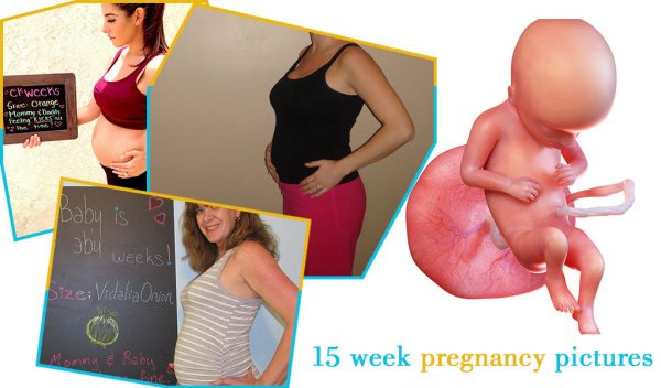 15 week pregnancy pictures