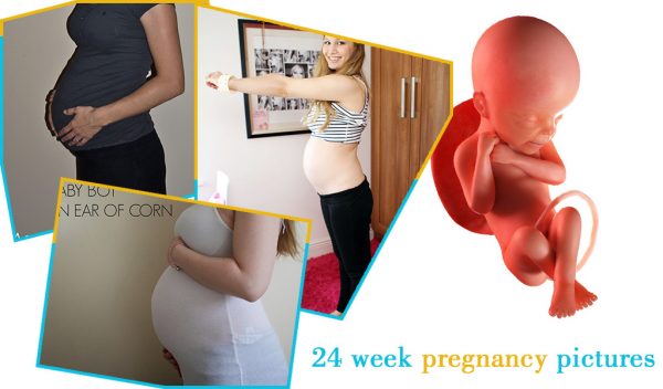 24 week pregnancy pictures