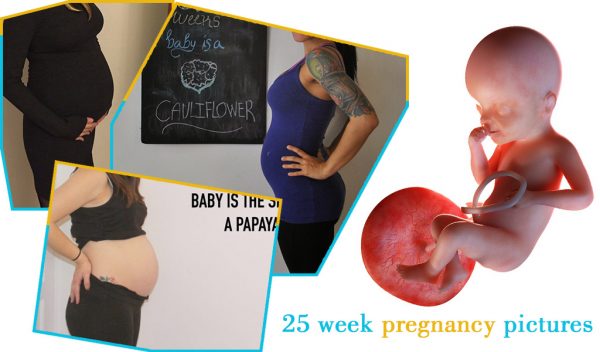 25 week pregnancy pictures