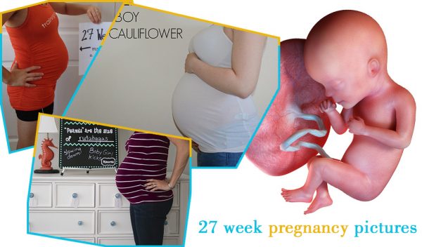 27 week pregnancy pictures