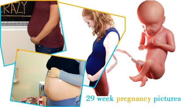 29 week pregnancy pictures