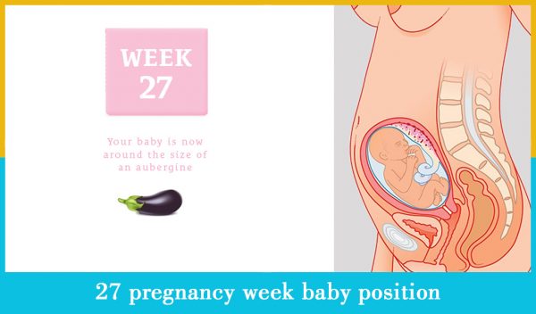 27 pregnancy week baby position