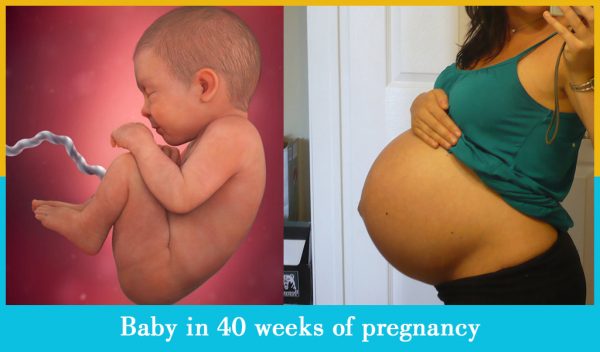 baby in 40 weeks of pregnancy