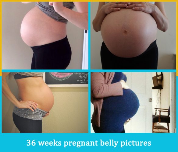 36 weeks pregnant belly pictures