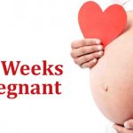 The 17th week of pregnancy